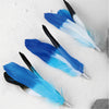 Pidan Cat Teaser Refill A2 - Feather pack - FURRPLAY