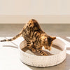 Natural Weaved Scratcher Bed