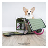 Out-of-Office Dog Carrier Black/Magenta