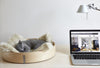 MiaCara Anello Cat Basket | Walnut & Ash - FURRPLAY