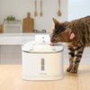 Pawbo Spring Smart Pet Fountain - FURRPLAY