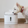 Pawbo Spring Smart Pet Fountain - FURRPLAY