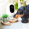 Pawbo+ Wireless Interactive Pet Camera - FURRPLAY