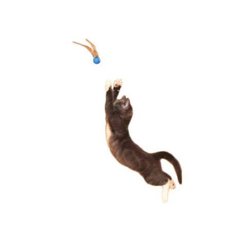 Bouncy Tails