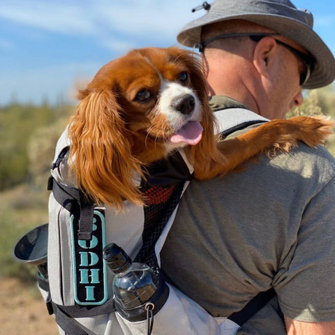 K9 Sport Sack