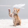 Pidan Cat Teaser Wooden Handle | 2 Colors - FURRPLAY
