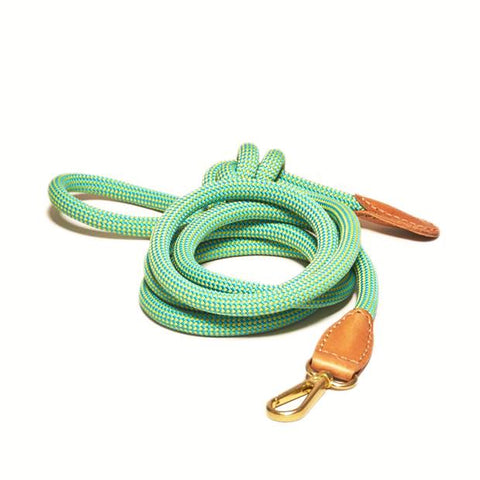 Howlpot We Are Tight: Rope Dog Leash | Palm Tree - FURRPLAY
