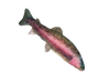 Get Smoked Fish