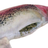 Get Smoked Fish