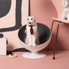 Boss Chair Cat Bed