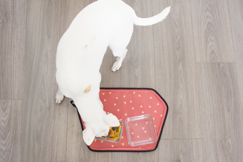 Geode Pet Food Mat in Coral – Furrplay