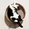 Natural Weaved Scratcher Bed