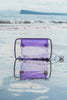 Purple See-Through Kittiperch