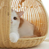Rattan Pod Bed