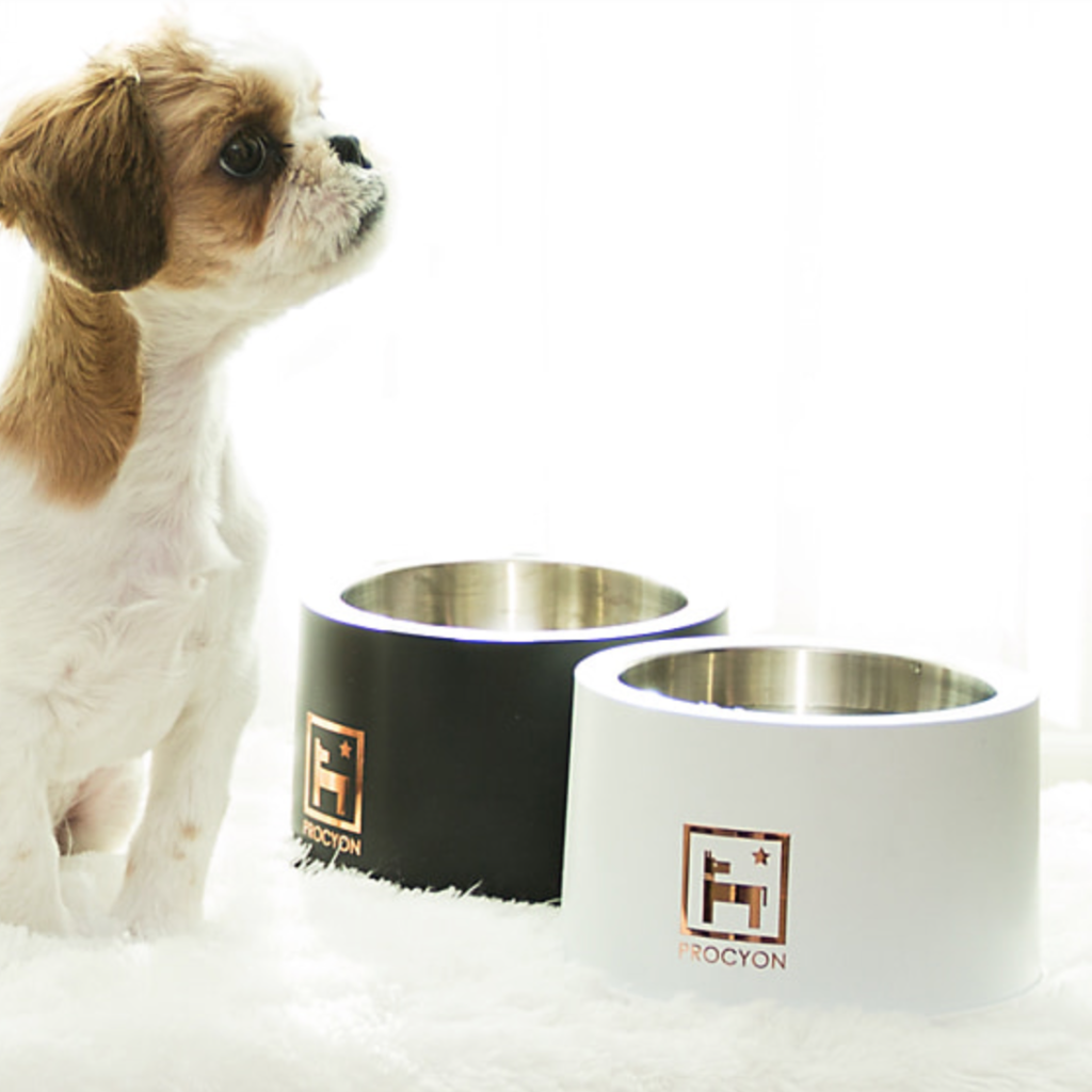 Procyon Cool Bowl | Glacier White – Furrplay