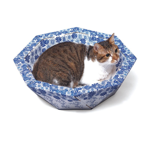 Hulumao China Bowl - FURRPLAY