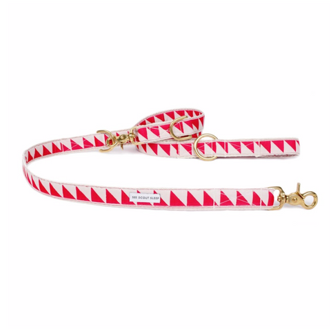See Scout Sleep Out Of My Box Dog Leash | Red - FURRPLAY