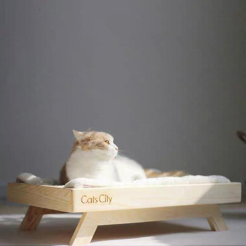 Wooden Sunbed