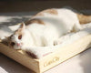 Wooden Sunbed