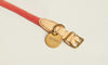 Howlpot We Are Tight: Rope Dog Collar| Coral Ade - FURRPLAY