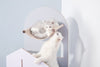 Cat Time Cat Tree