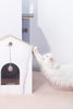 Cat Time Cat Tree