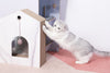 Cat Time Cat Tree