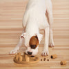 Dog Smart - FURRPLAY