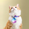 Pidan Neckties | 2 Designs