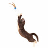 Bouncy Tails 3 Pack Cat Toy - FURRPLAY