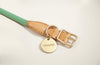 Howlpot We Are Tight: Rope Dog Collar| Palm Tree - FURRPLAY