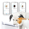 Pawbo Spring Smart Pet Fountain - FURRPLAY