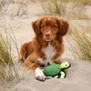 Recycled Rough & Tough Turtle - FURRPLAY