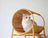 Wicker Cradle Bed